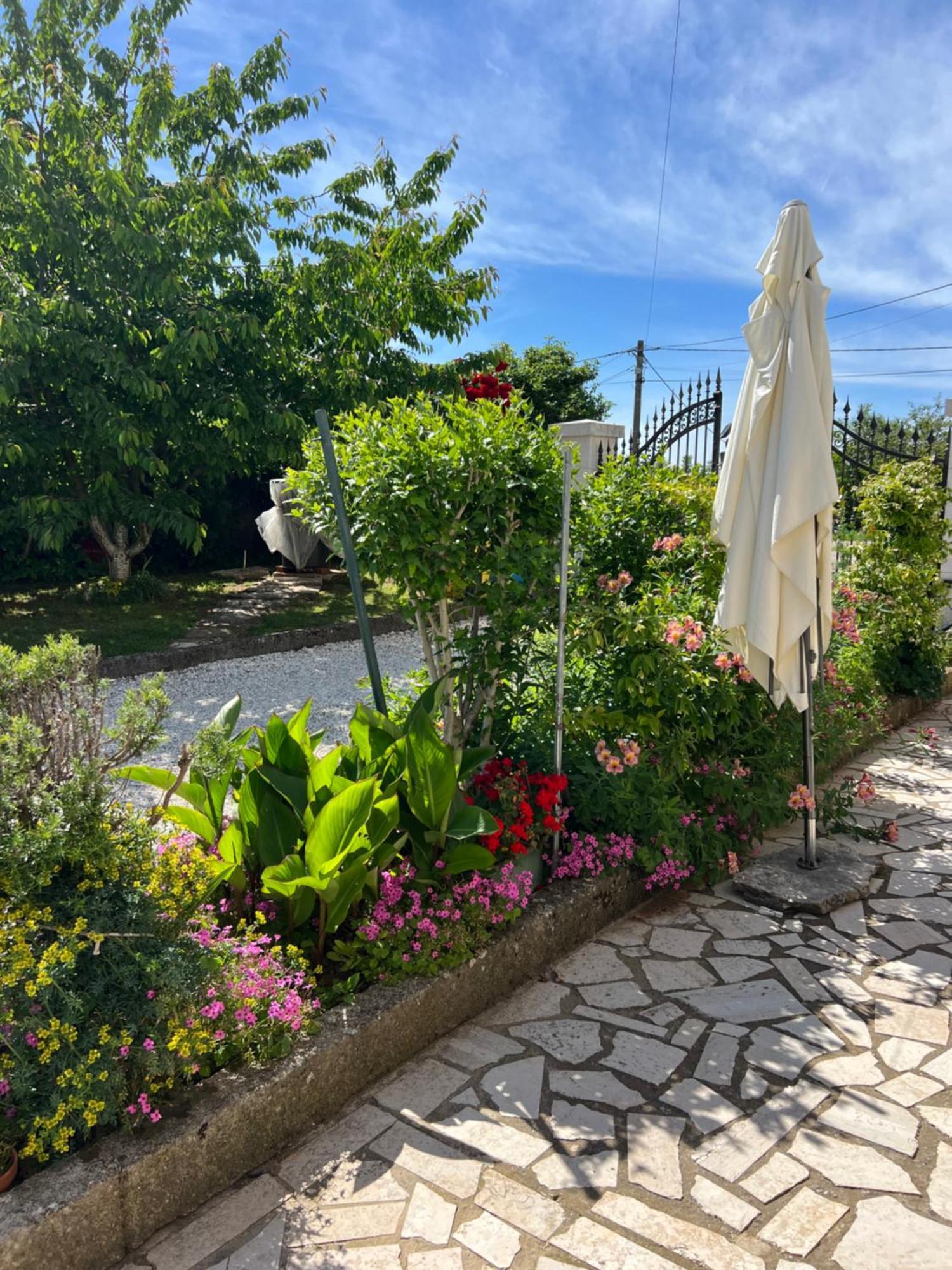 Casa Irma Hotell Žminj Exteriör bild